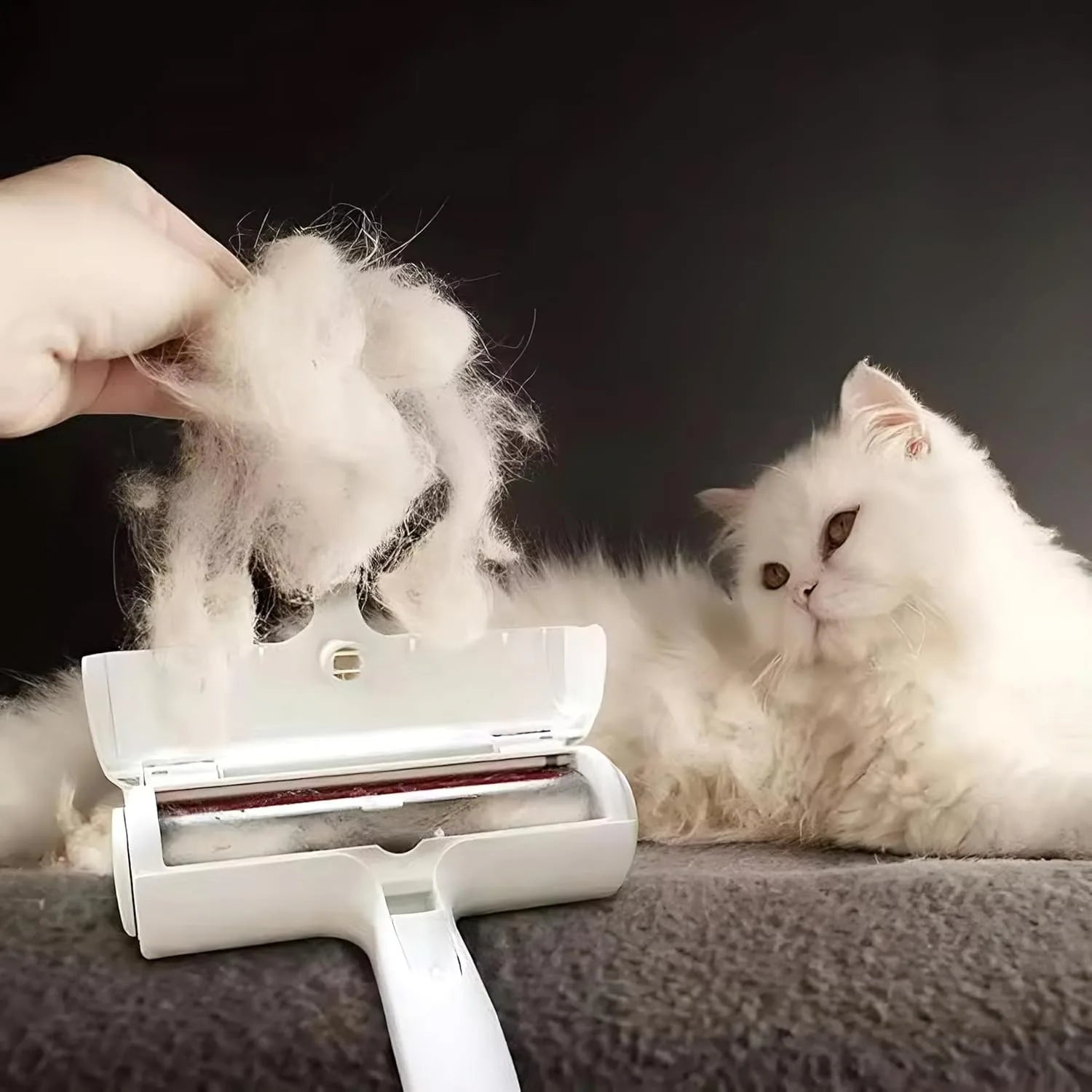 1pc Pet Hair Remover, Reusable Lint Roller Brush Washable Fur Removal for Dogs Cats Furniture